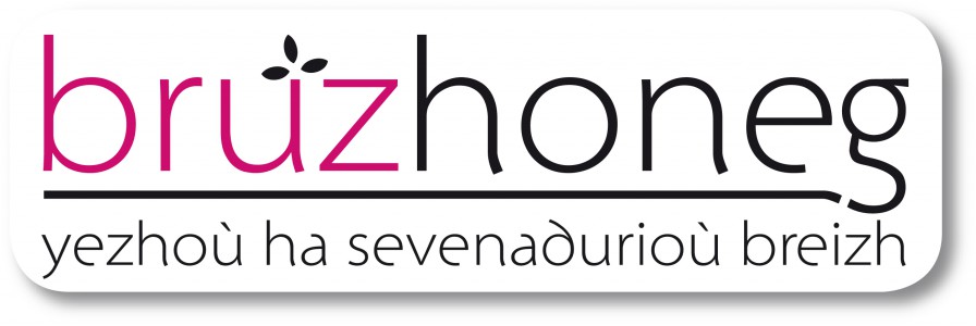 bruzhoneg logo